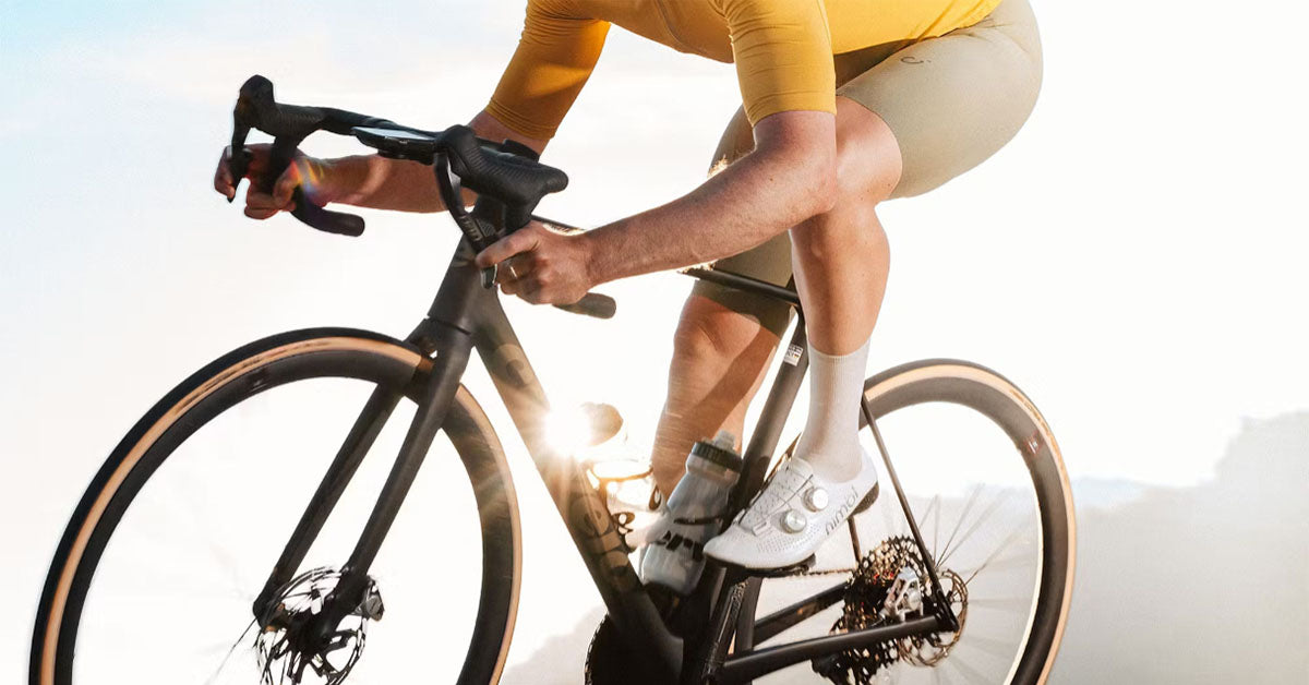 Size 56 Rental Bikes – Rent a Bike - Singapore