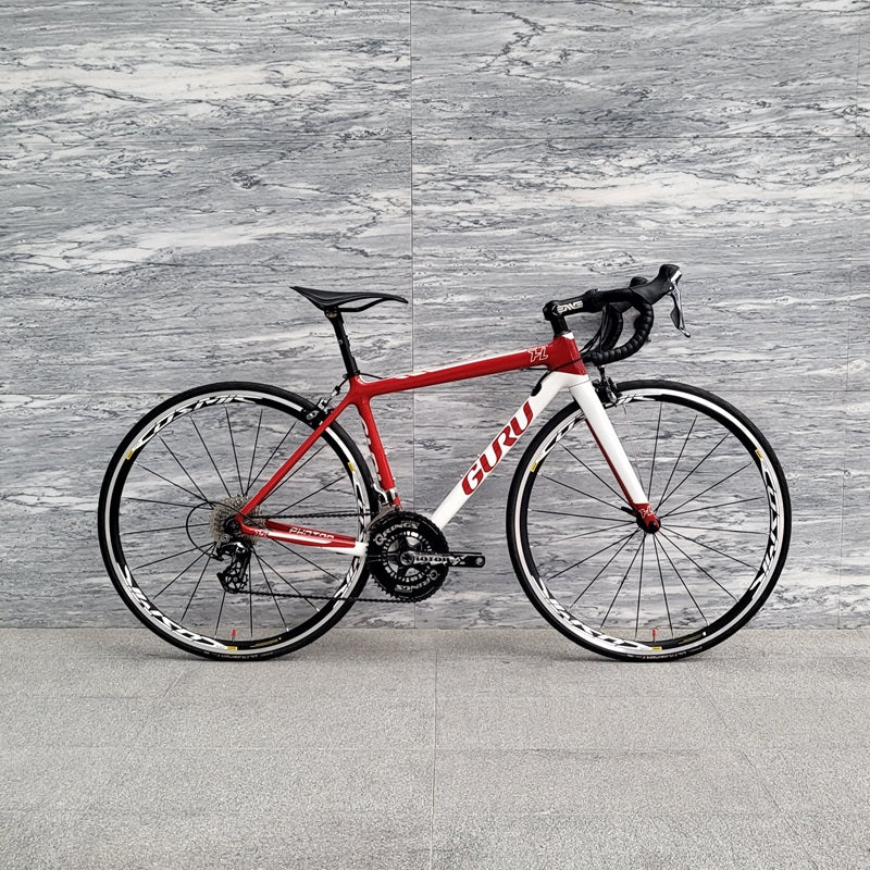 Road Bike Rental Singapore - GURU Photon HL Size 48