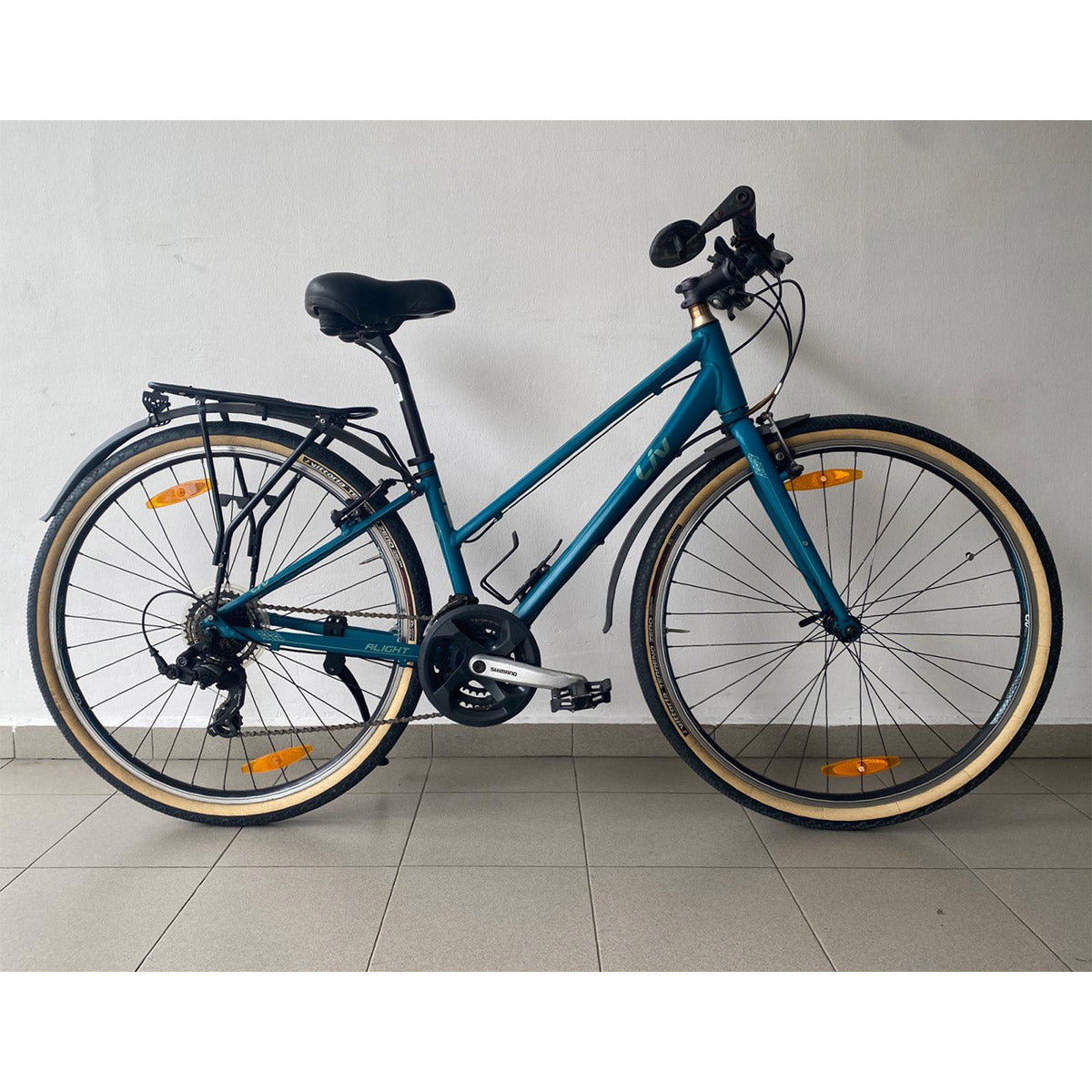 Road Bike Rental Singapore - Liv commuter bike