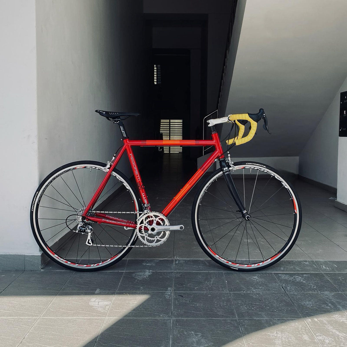 Road Bike Rental Singapore - Pegoretti Size 54/55