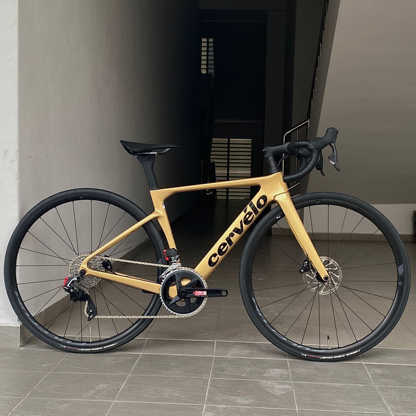 Road Bike Rental Singapore - Cervelo Soloist Size 48