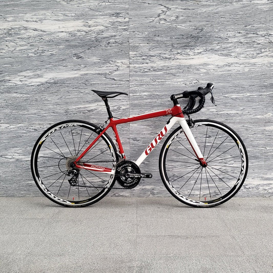 Road Bike Rental Singapore - GURU Photon HL Size 48