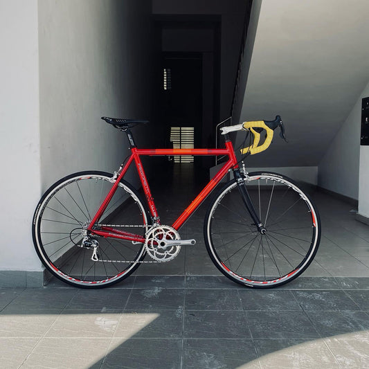 Road Bike Rental Singapore - Pegoretti Size 54/55